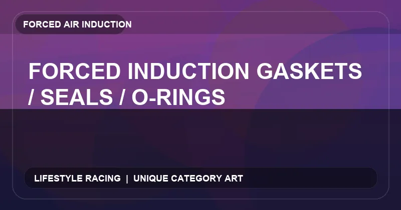 Forced Induction Gaskets / Seals / O-Rings